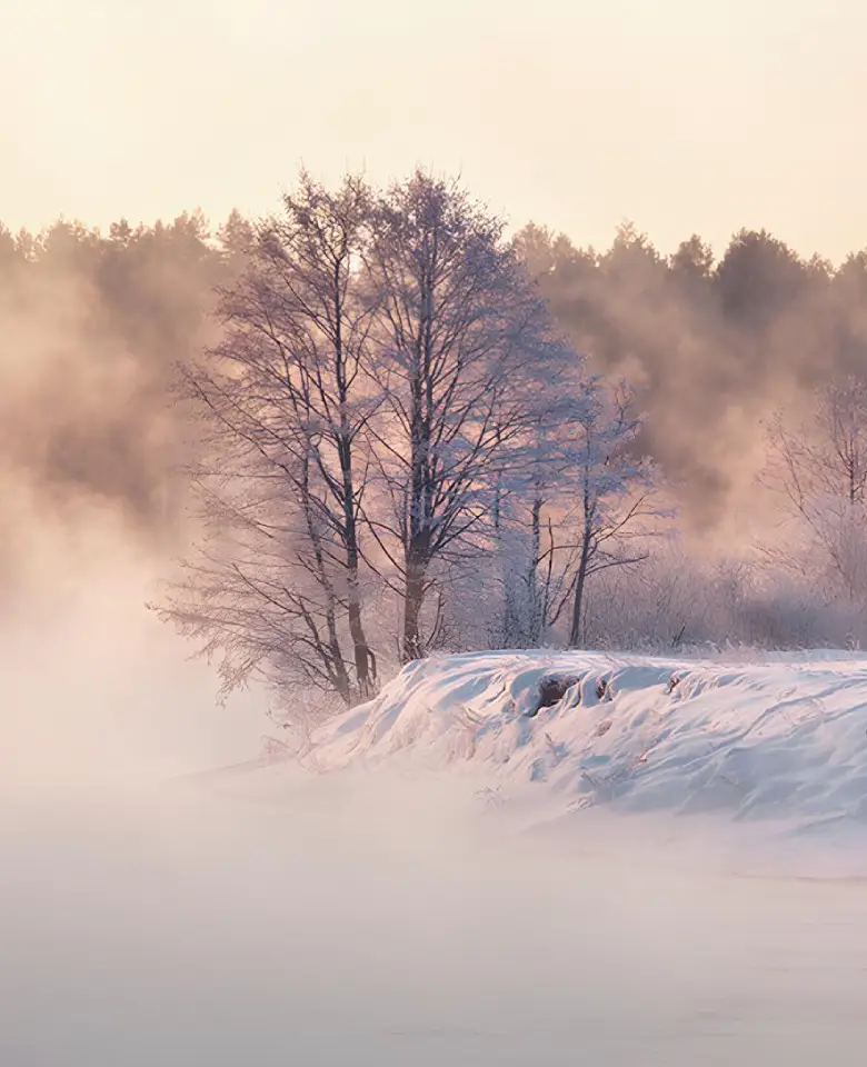 Программа на месяц